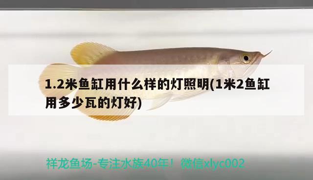 1.2米魚缸用什么樣的燈照明(1米2魚缸用多少瓦的燈好) 錦鯉池魚池建設(shè)