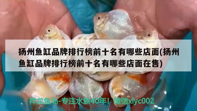 揚州魚缸品牌排行榜前十名有哪些店面(揚州魚缸品牌排行榜前十名有哪些店面在售)