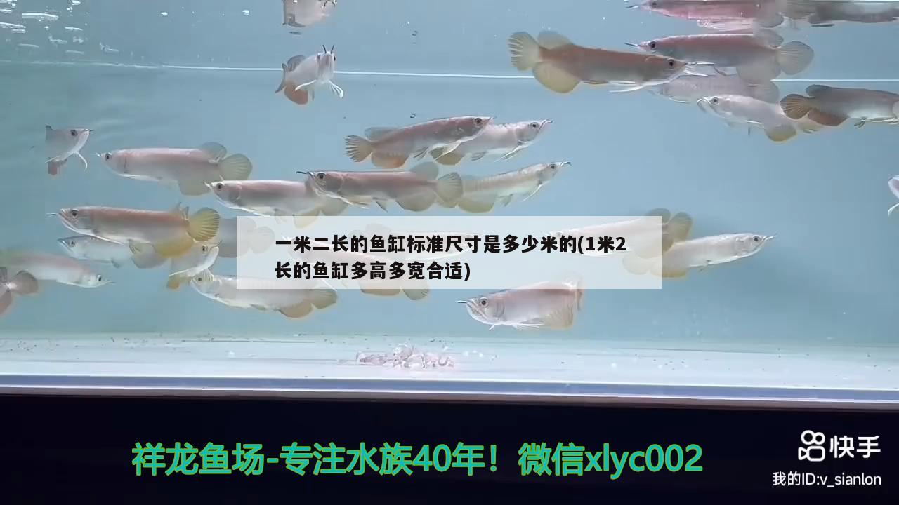 一米二長的魚缸標(biāo)準(zhǔn)尺寸是多少米的(1米2長的魚缸多高多寬合適)