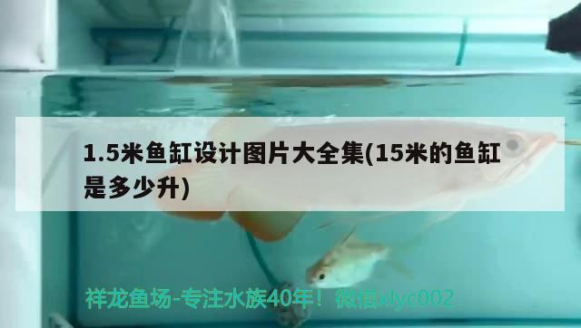 1.5米魚缸設計圖片大全集(15米的魚缸是多少升)