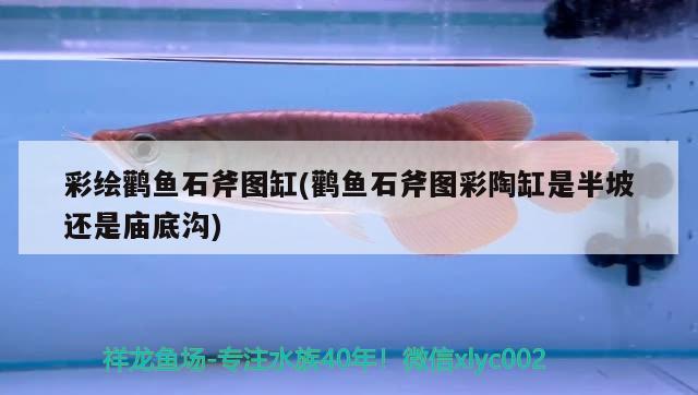 彩繪鸛魚石斧圖缸(鸛魚石斧圖彩陶缸是半坡還是廟底溝) 觀賞魚