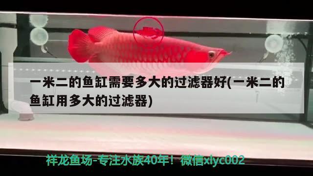 一米二的魚缸需要多大的過濾器好(一米二的魚缸用多大的過濾器) 野生地圖魚