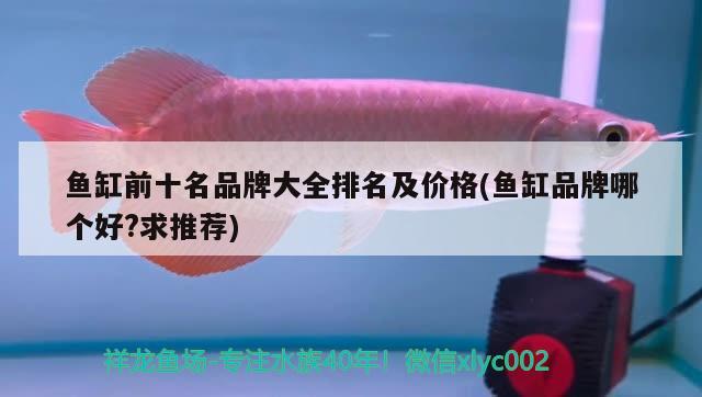 魚缸前十名品牌大全排名及價格(魚缸品牌哪個好?求推薦) 白子關(guān)刀魚苗