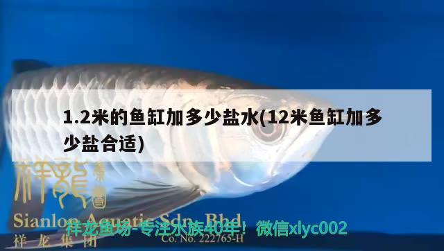 1.2米的魚缸加多少鹽水(12米魚缸加多少鹽合適) 養(yǎng)魚的好處