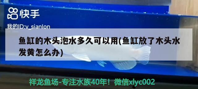 魚(yú)缸的木頭泡水多久可以用(魚(yú)缸放了木頭水發(fā)黃怎么辦)