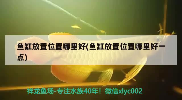 魚缸放置位置哪里好(魚缸放置位置哪里好一點) 和尚魚