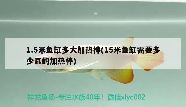 1.5米魚(yú)缸多大加熱棒(15米魚(yú)缸需要多少瓦的加熱棒) 祥龍赫舞紅龍魚(yú)