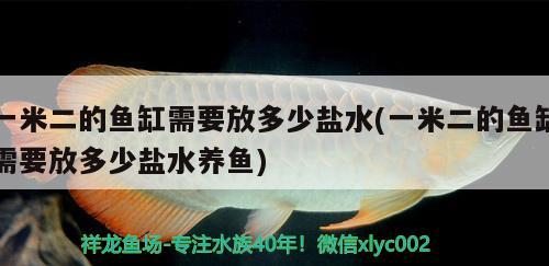 一米二的魚缸需要放多少鹽水(一米二的魚缸需要放多少鹽水養(yǎng)魚)