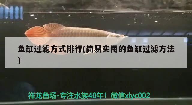 魚缸過濾方式排行(簡易實(shí)用的魚缸過濾方法)