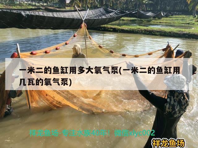 一米二的魚缸用多大氧氣泵(一米二的魚缸用幾瓦的氧氣泵)