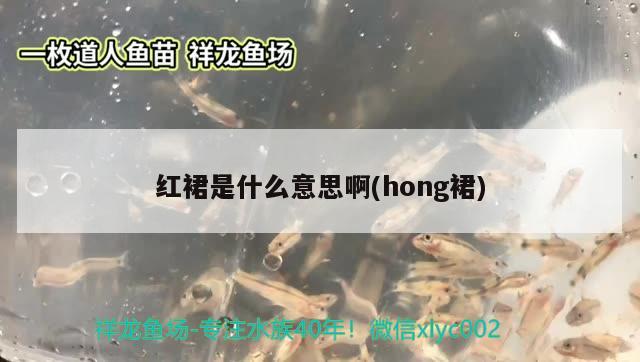 紅裙是什么意思啊(hong裙)