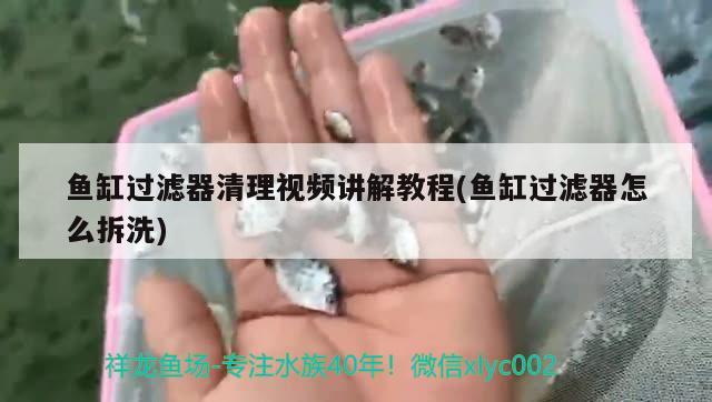 魚缸過濾器清理視頻講解教程(魚缸過濾器怎么拆洗) 三間鼠魚苗