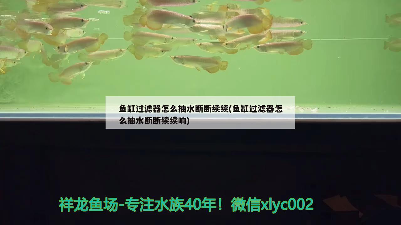 魚缸過濾器怎么抽水?dāng)鄶嗬m(xù)續(xù)(魚缸過濾器怎么抽水?dāng)鄶嗬m(xù)續(xù)響) 豹紋夫魚苗