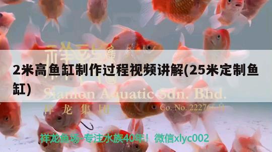 2米高魚缸制作過程視頻講解(25米定制魚缸) 海象魚