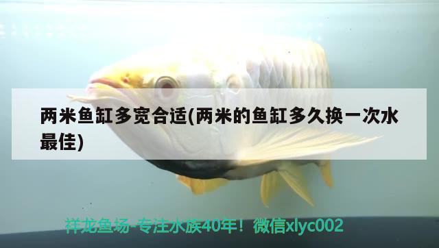 兩米魚缸多寬合適(兩米的魚缸多久換一次水最佳)