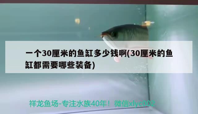 一個(gè)30厘米的魚缸多少錢啊(30厘米的魚缸都需要哪些裝備) 月光鴨嘴魚