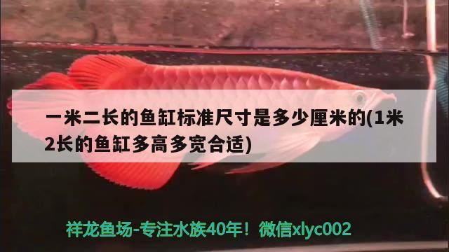 一米二長的魚缸標準尺寸是多少厘米的(1米2長的魚缸多高多寬合適)