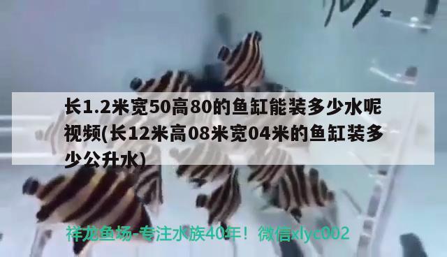 長1.2米寬50高80的魚缸能裝多少水呢視頻(長12米高08米寬04米的魚缸裝多少公升水)