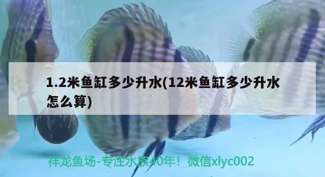 1.2米魚缸多少升水(12米魚缸多少升水怎么算) 照明器材