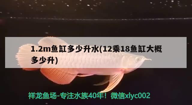 1.2m魚缸多少升水(12乘18魚缸大概多少升) 廣州龍魚批發(fā)市場