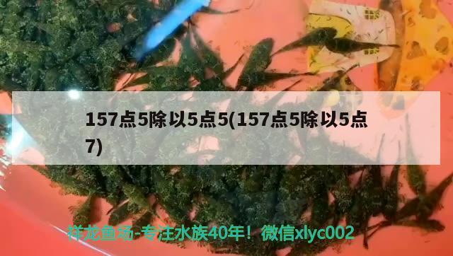 157點(diǎn)5除以5點(diǎn)5(157點(diǎn)5除以5點(diǎn)7) 觀賞魚