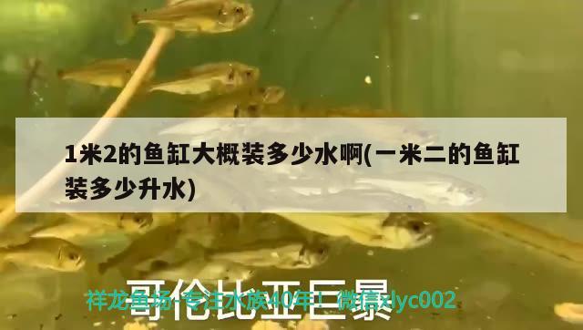 1米2的魚缸大概裝多少水啊(一米二的魚缸裝多少升水)