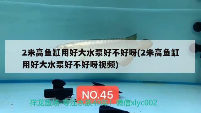 2米高魚(yú)缸用好大水泵好不好呀(2米高魚(yú)缸用好大水泵好不好呀視頻)