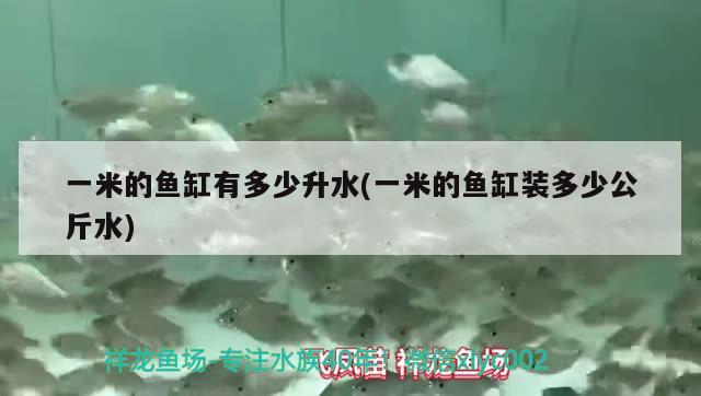 一米的魚缸有多少升水(一米的魚缸裝多少公斤水) 白玉紅龍魚