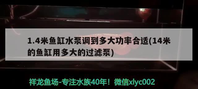 1.4米魚缸水泵調(diào)到多大功率合適(14米的魚缸用多大的過濾泵)