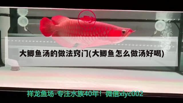 大鯽魚(yú)湯的做法竅門(mén)(大鯽魚(yú)怎么做湯好喝) 觀(guān)賞魚(yú)