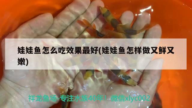 娃娃魚怎么吃效果最好(娃娃魚怎樣做又鮮又嫩) 觀賞魚