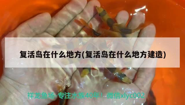 復(fù)活島在什么地方(復(fù)活島在什么地方建造) 觀賞魚