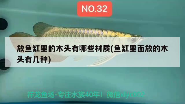 放魚缸里的木頭有哪些材質(zhì)(魚缸里面放的木頭有幾種)