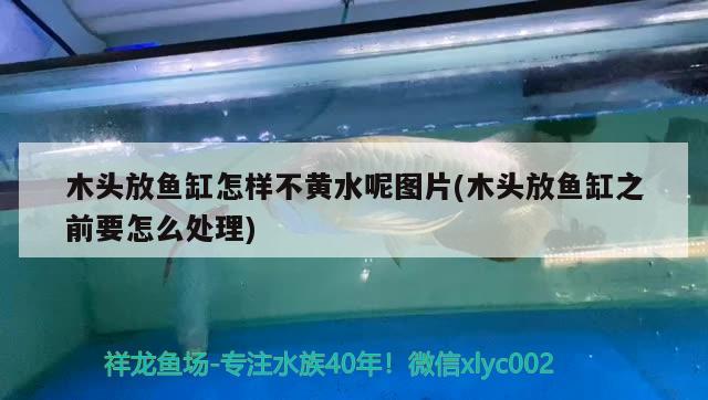 木頭放魚缸怎樣不黃水呢圖片(木頭放魚缸之前要怎么處理)