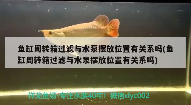 魚缸周轉(zhuǎn)箱過濾與水泵擺放位置有關(guān)系嗎(魚缸周轉(zhuǎn)箱過濾與水泵擺放位置有關(guān)系嗎)