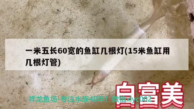 一米五長(zhǎng)60寬的魚(yú)缸幾根燈(15米魚(yú)缸用幾根燈管)