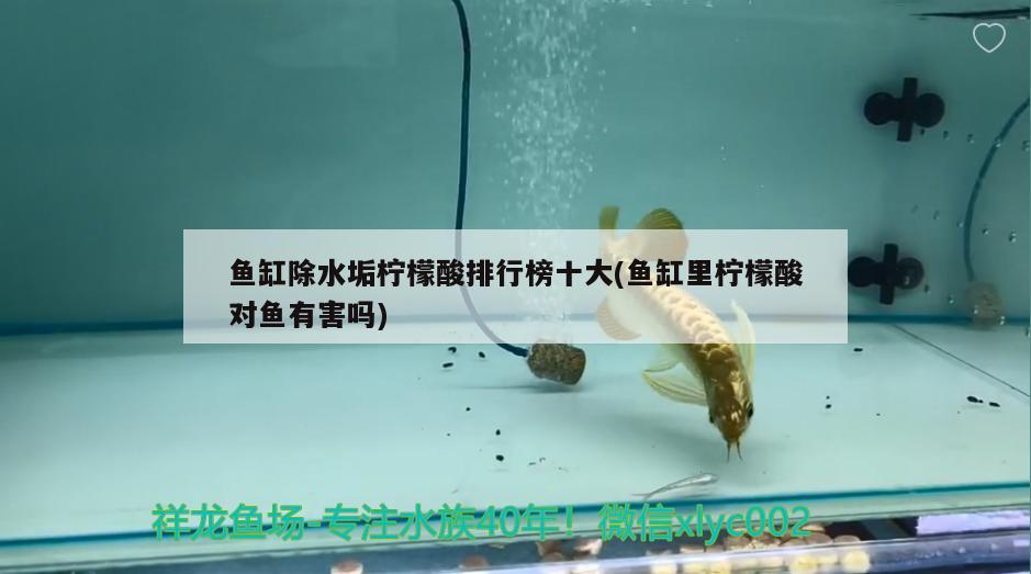 魚缸除水垢檸檬酸排行榜十大(魚缸里檸檬酸對魚有害嗎)