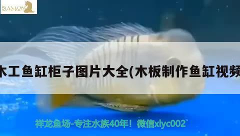 木工魚缸柜子圖片大全(木板制作魚缸視頻) 申古三間魚