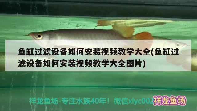 魚缸過濾設(shè)備如何安裝視頻教學(xué)大全(魚缸過濾設(shè)備如何安裝視頻教學(xué)大全圖片)