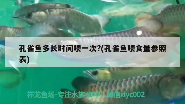 孔雀魚多長時間喂一次?(孔雀魚喂食量參照表)