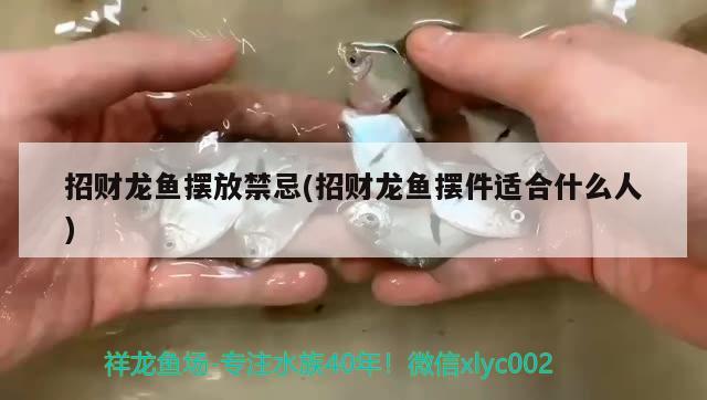 招財(cái)龍魚擺放禁忌(招財(cái)龍魚擺件適合什么人) 觀賞魚