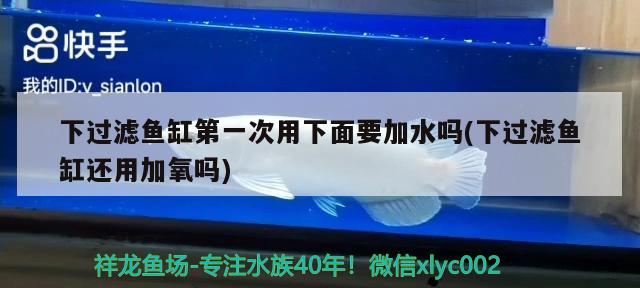 下過濾魚缸第一次用下面要加水嗎(下過濾魚缸還用加氧嗎) 祥龍龍魚魚糧