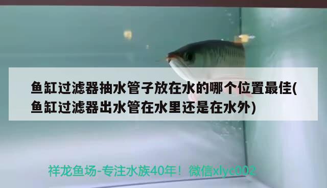 魚(yú)缸過(guò)濾器抽水管子放在水的哪個(gè)位置最佳(魚(yú)缸過(guò)濾器出水管在水里還是在水外)