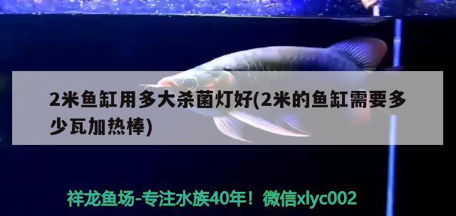 2米魚缸用多大殺菌燈好(2米的魚缸需要多少瓦加熱棒)