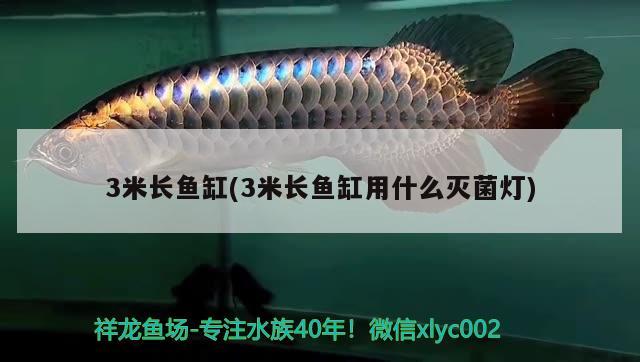 3米長魚缸(3米長魚缸用什么滅菌燈) 鸚鵡魚