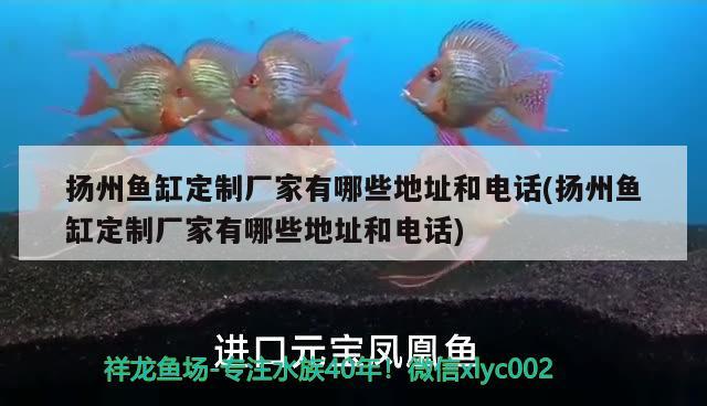 揚州魚缸定制廠家有哪些地址和電話(揚州魚缸定制廠家有哪些地址和電話)