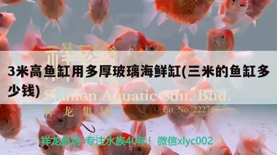 3米高魚缸用多厚玻璃海鮮缸(三米的魚缸多少錢)