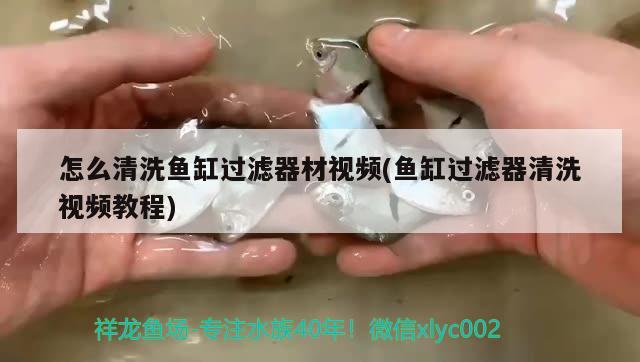 怎么清洗魚缸過濾器材視頻(魚缸過濾器清洗視頻教程) 魚缸清潔用具