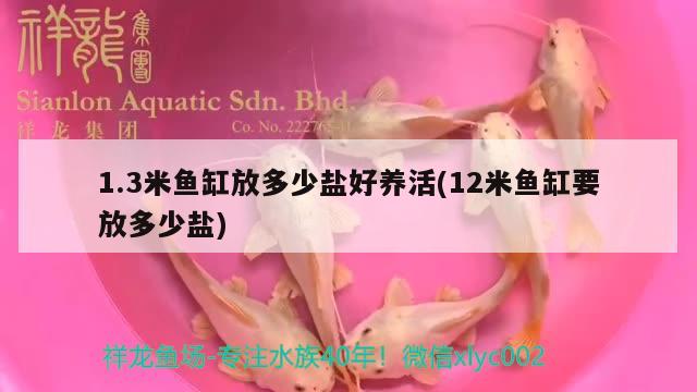 1.3米魚(yú)缸放多少鹽好養(yǎng)活(12米魚(yú)缸要放多少鹽)