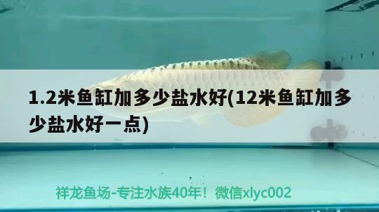 1.2米魚缸加多少鹽水好(12米魚缸加多少鹽水好一點)